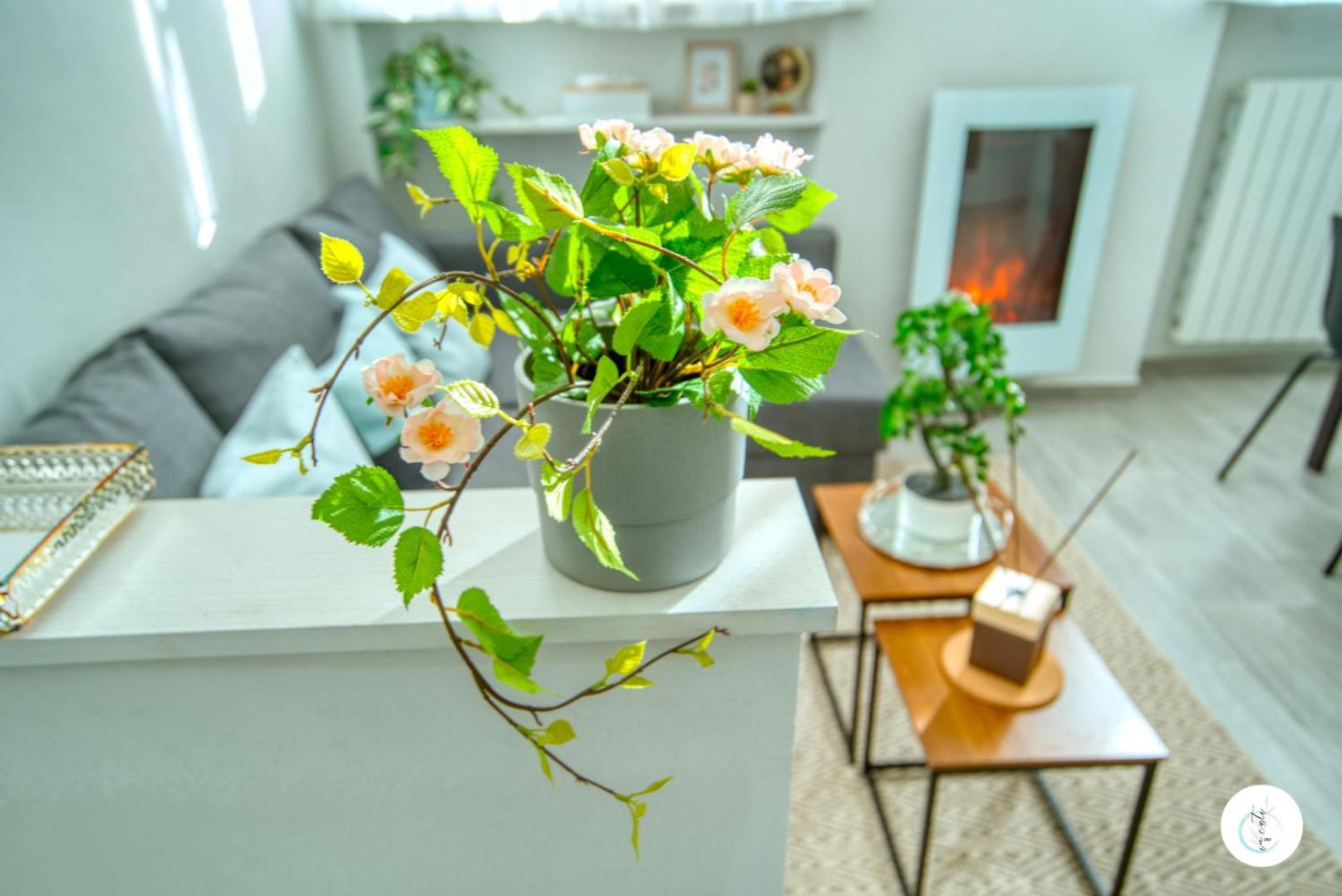 In Curti 1913 Apartment Парабиаго Екстериор снимка