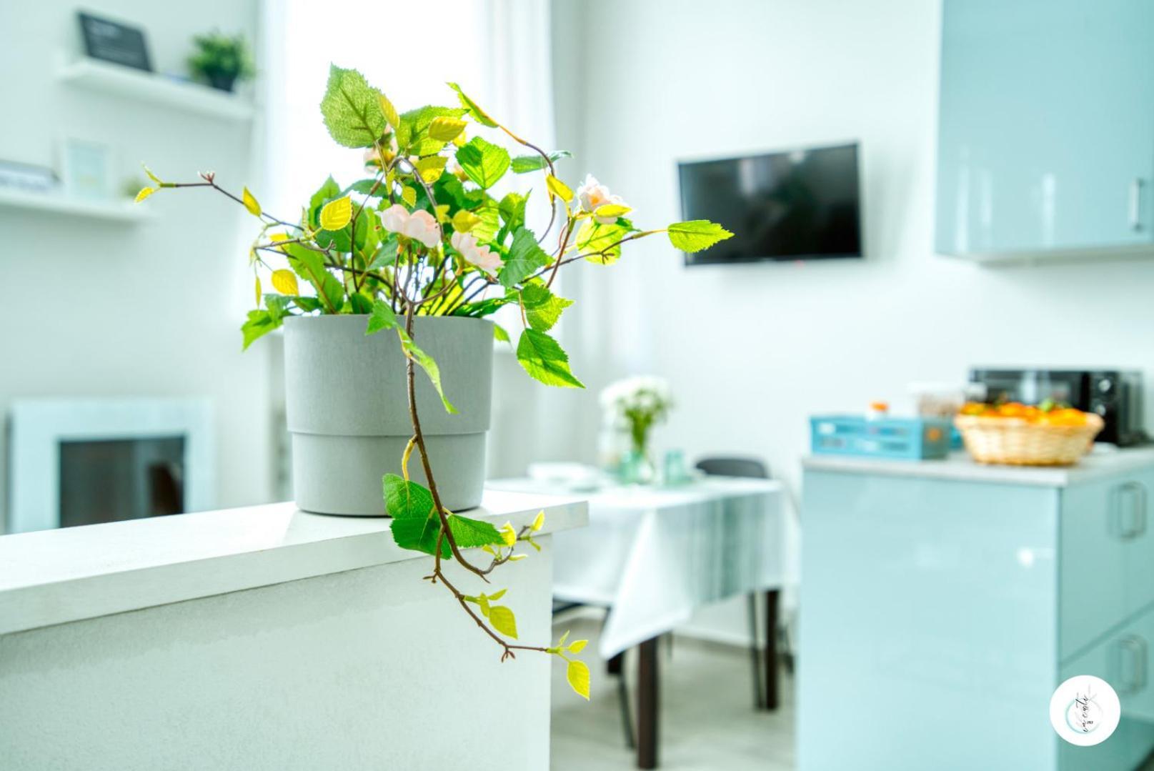 In Curti 1913 Apartment Парабиаго Екстериор снимка